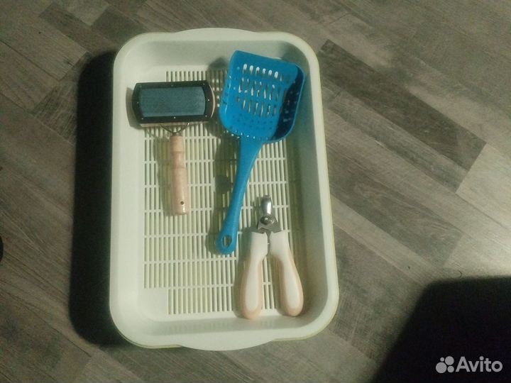 Кошачьи принадлежности