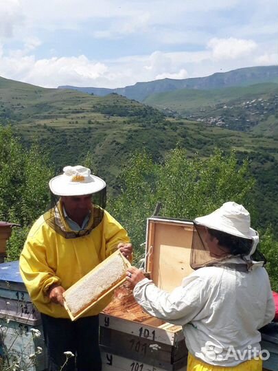 Мед натуральный