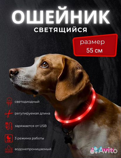 Ошейник для собак светодиодный