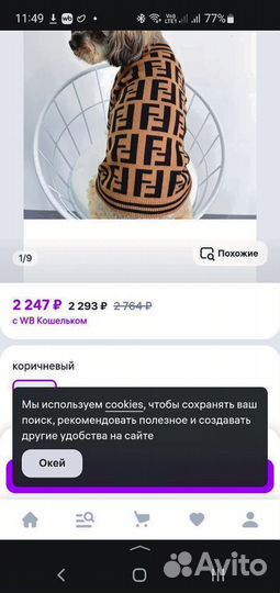 Одежда для маленьких пород собак