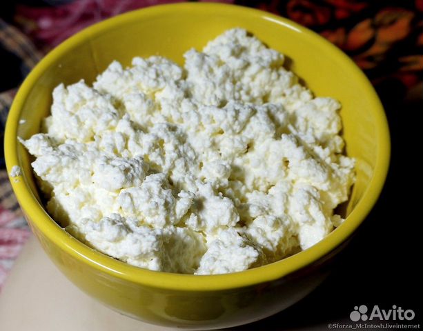 Творог Оптом