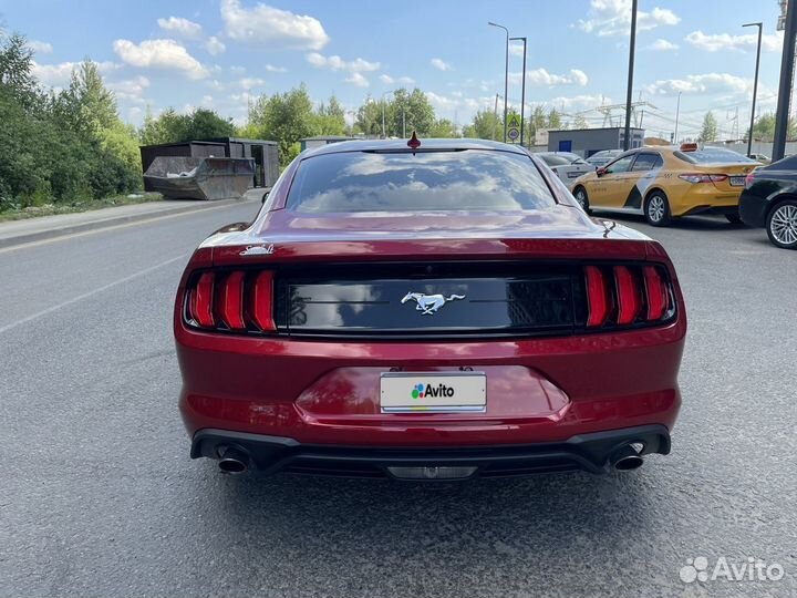 Ford Mustang 2.3 AT, 2020, 15 900 км