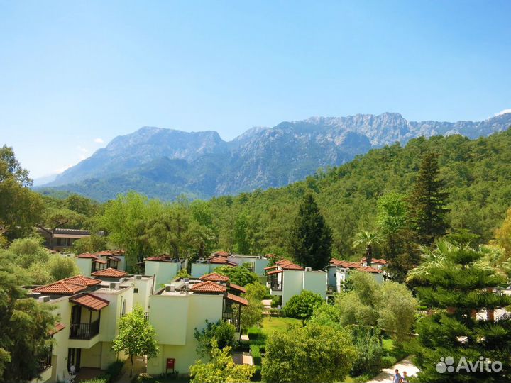 Фотоаппарат Olympus SZ-17 и Ещё Кое-Что Готовься