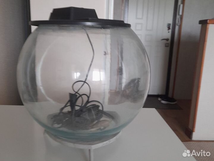 Аквариум для рыбок