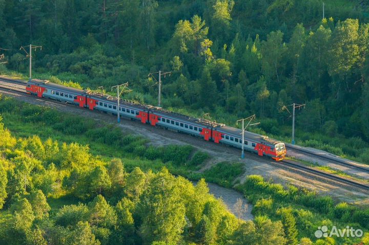 Сотрудник транспортной безопасности