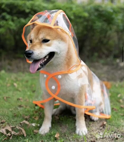 Плащ для собак