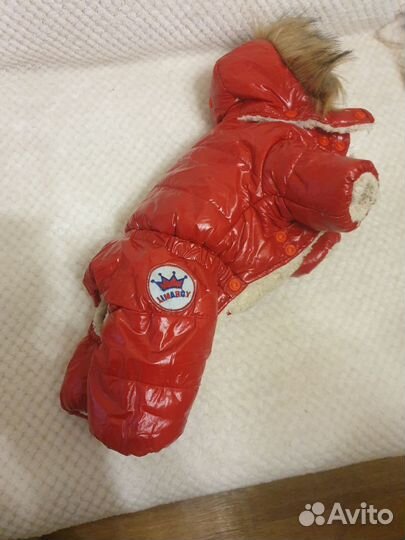 Фирменные ещи для маленьких собачек