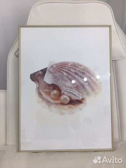 Фотокомпозиция ракушка