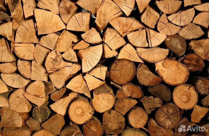 Дрова дуб