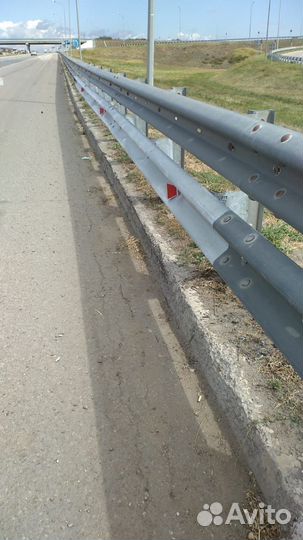 Зерно пшеница