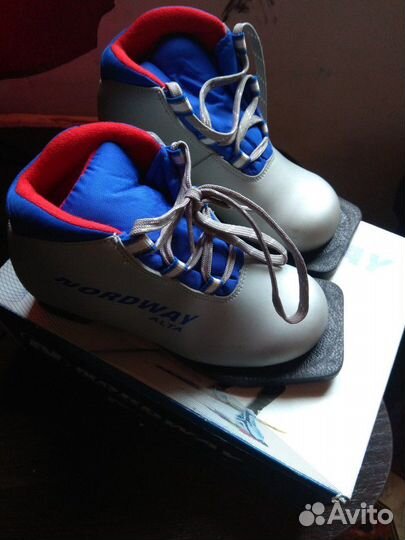 Лыжные ботинки