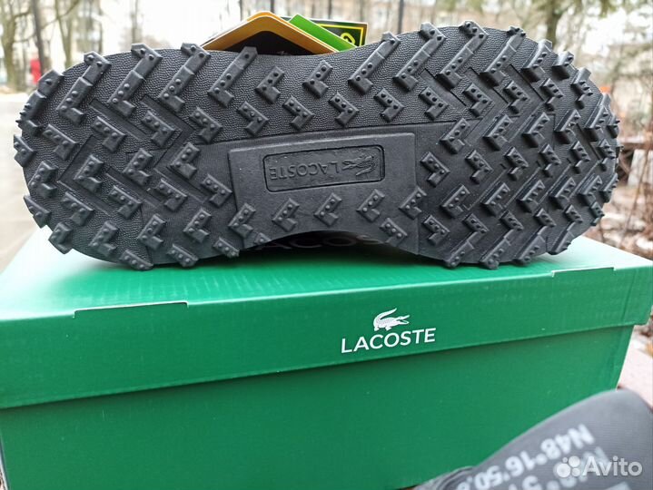 Кроссовки мужские Lacoste черные