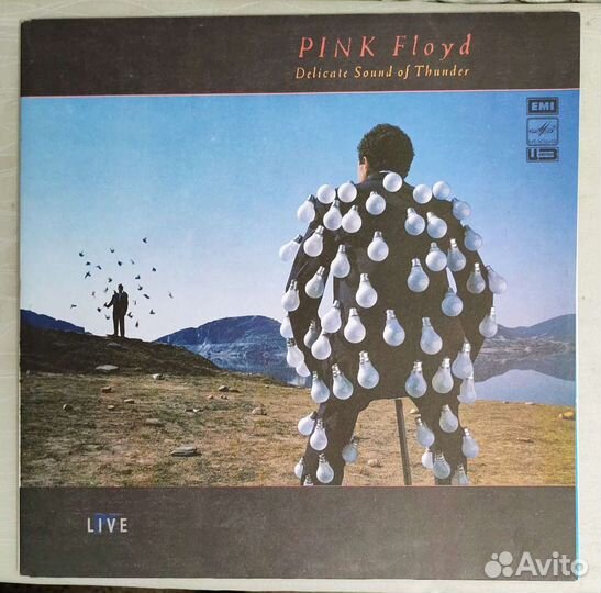 Pink Floyd Delicate Sound of Thunder