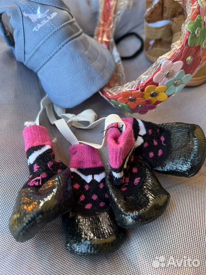 Ошейник носки ботинки для маленькой собаки