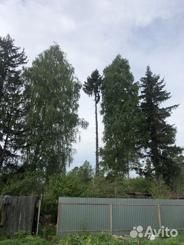 Уход за садом и озеленение в Иваново