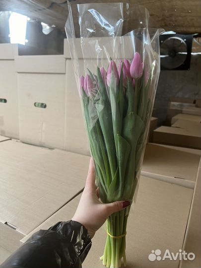 Тюльпаны опт розница корпоративные заказы
