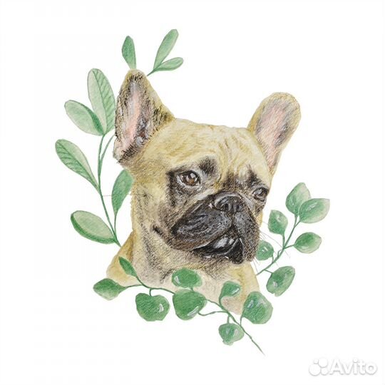 Портрет питомца по фото