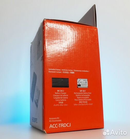 Зарядное устройство Sony ACC-trdcj + аккум NP-BJ1