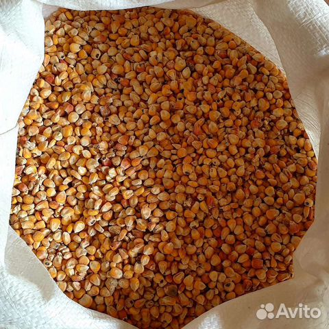 Кукуруза цельная и дроблёная