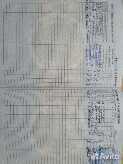 Вязка кобель