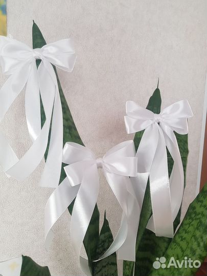 Бантик 2шт,на заколке или на резинке