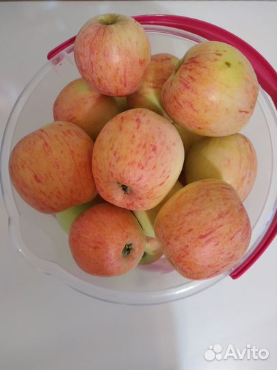 Яблоки свежие крупные, 3 кг