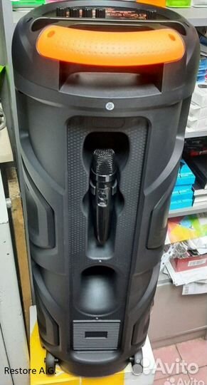 Колонка ZQS8221