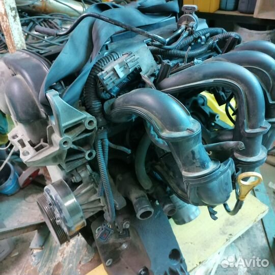 Двигатель ford focus 2 1.6 100 л с hwdb