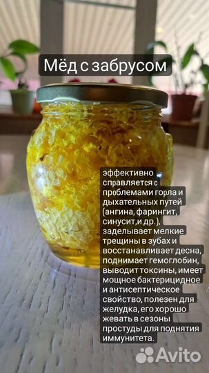 Мед в ассортименте