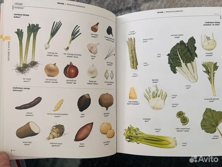 Учебник испанского языка