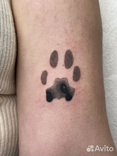 Тату мастер, ищу модель на татуировку