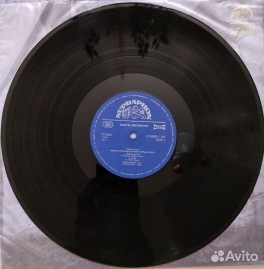 Frederic Chopin &Robert Shuman