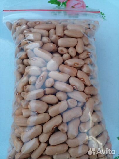 Фасоль семенная кустовая