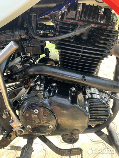 Ирбис ттр 250 обмен предлогайте