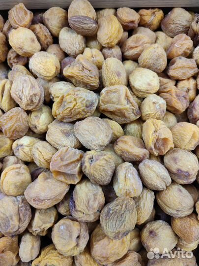 Урюк сладкий