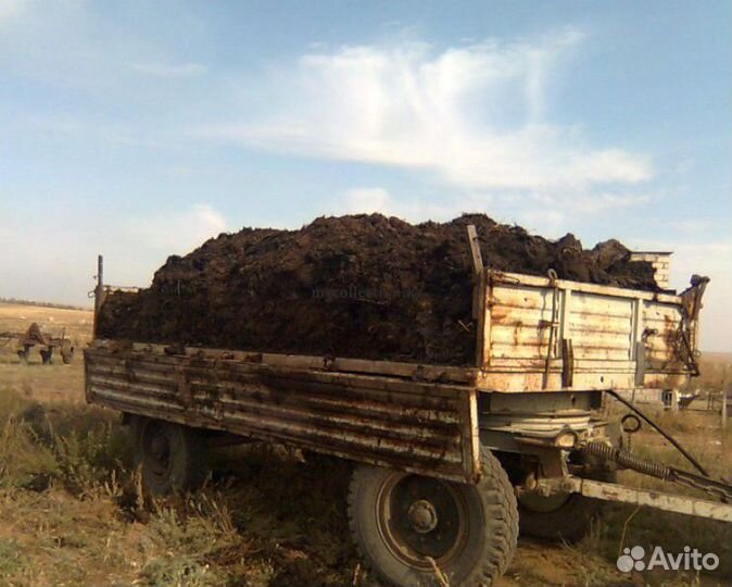 Навоз с доставкой