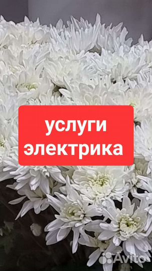 Услуги электрика