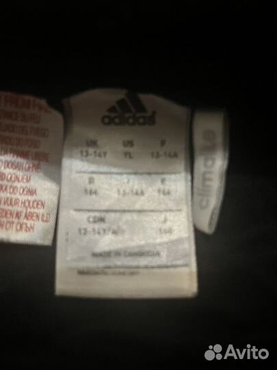 Шорты adidas