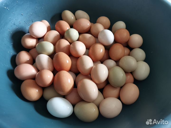 Фермерские продукты