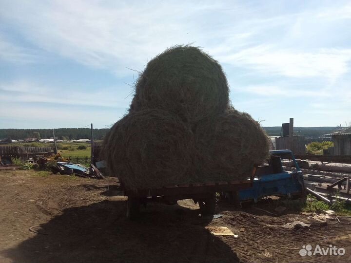 Продам сено в рулонах