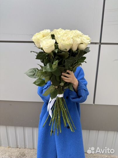 Розы Эквадор 80см Доставка Букет из роз