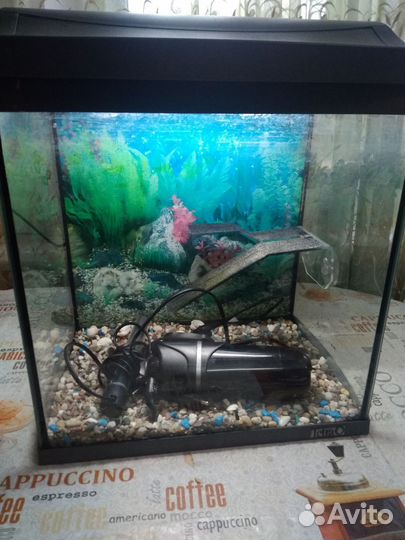 Аквариум