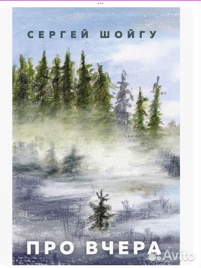 Книги Шойгу