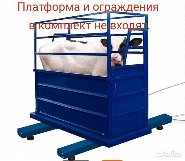 Весы для крс (стержневые весы)