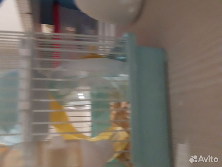 Клетка для грызунов средния