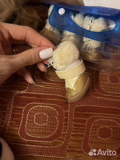 Обувь зимняя для мелких пород собак
