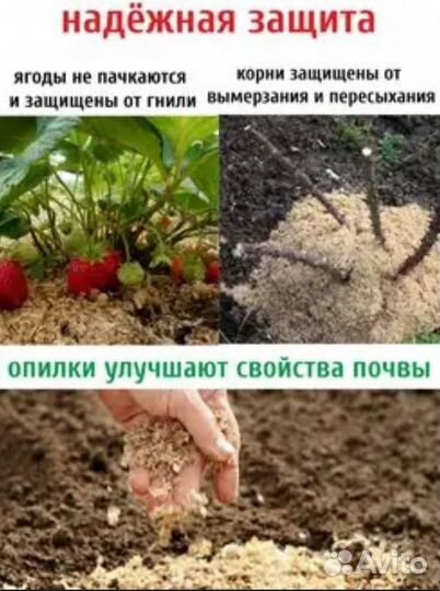 Опилки бесплатно самовывоз