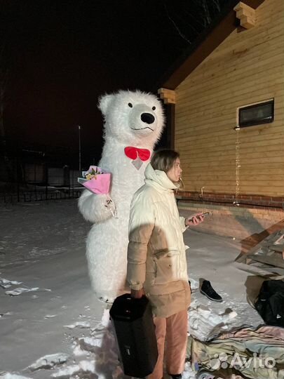 Белый медведь поздравления