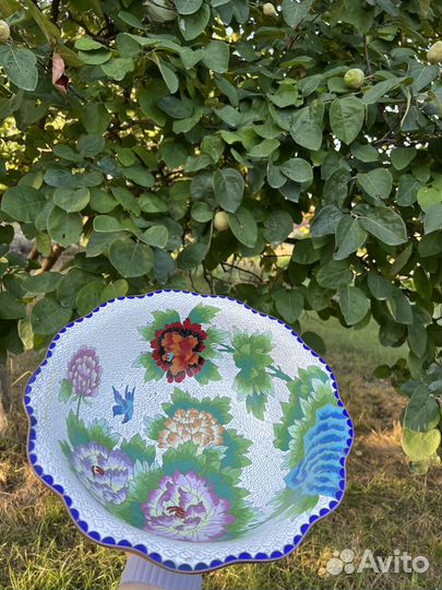 Фруктов клаузони