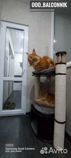 Расширение и Ремонт балконов